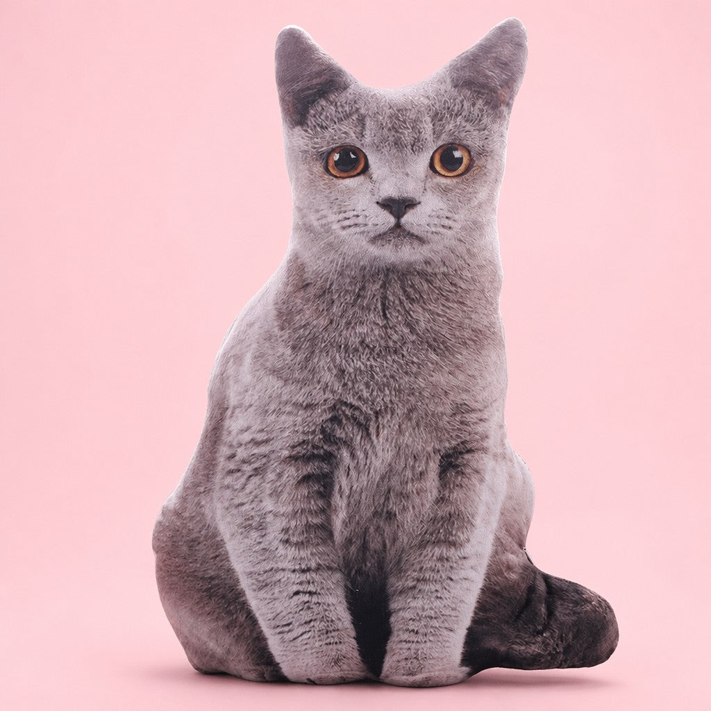 3D Cat Plush Pillow — blush